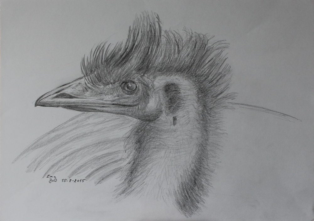 Emu, Knuthenborg Safaripark